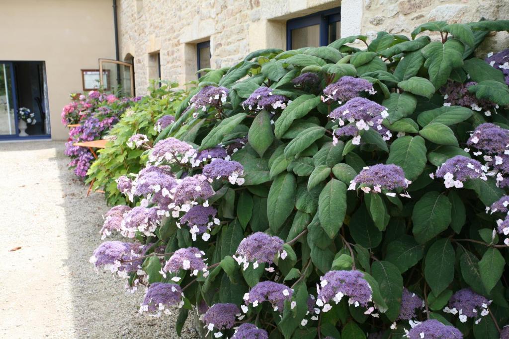Hotel - Restaurant L'Hortensia Noyalo Eksteriør bilde